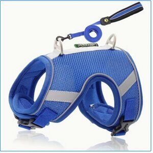 🐾 ROYAL BLUE Reflective Mesh Pet Harness + Leash – Size L
